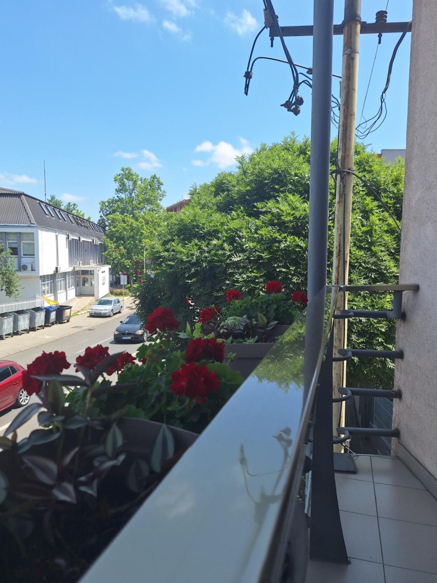Garni Hotel Ema Kragujevac Luaran gambar