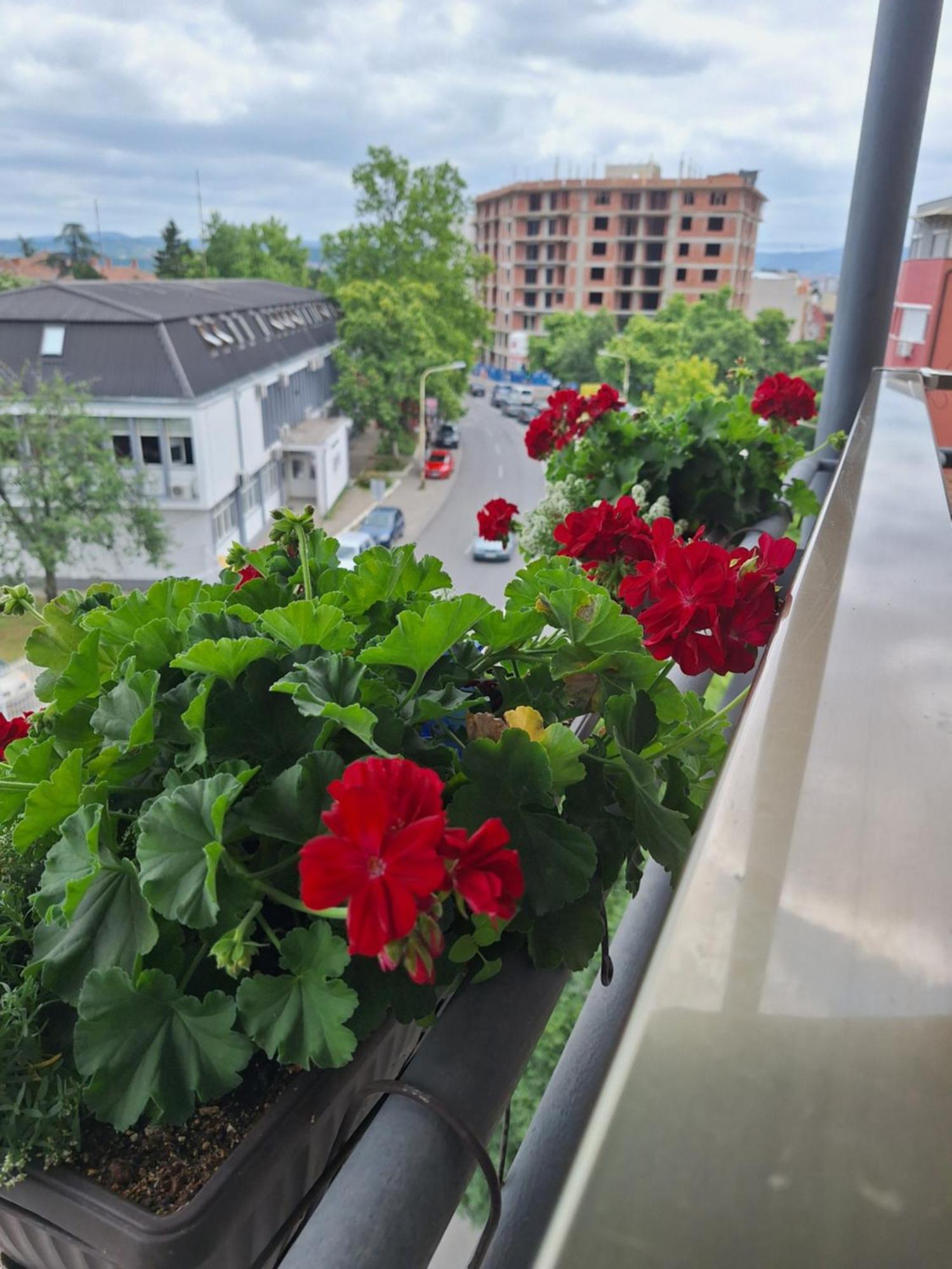 Garni Hotel Ema Kragujevac Luaran gambar